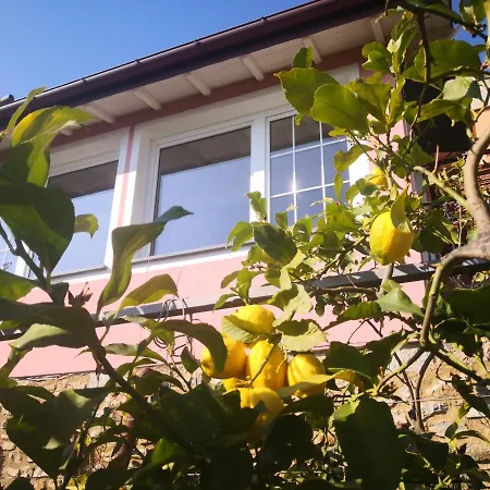 Florinda Lemon's Holiday home