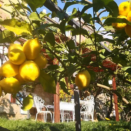Holiday home Florinda Lemon's *