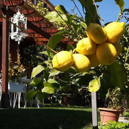 Holiday home Florinda Lemon's Cervo