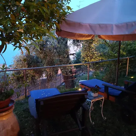Florinda Lemon's Cervo